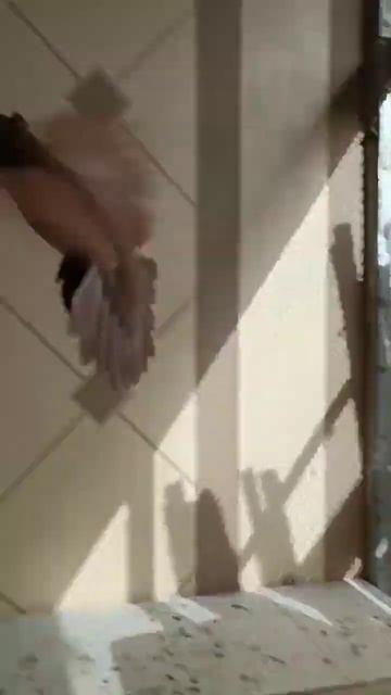 Голубые Узбекиски игровой @ смотреть онлайн