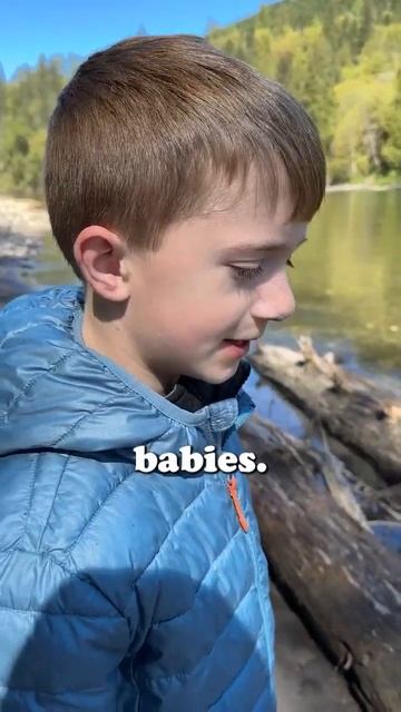 Baby Salmon in Skagit River!! смотреть онлайн