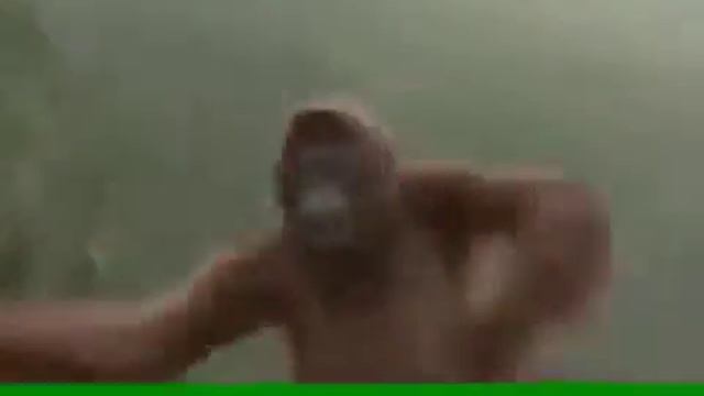 обезьяна Серёжа! смотреть онлайн