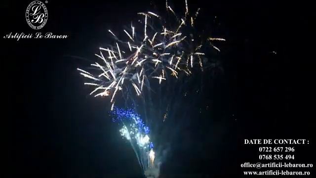 SFC100-F96 100 focuri 1,2” Evantai Z efect - silver wave смотреть онлайн