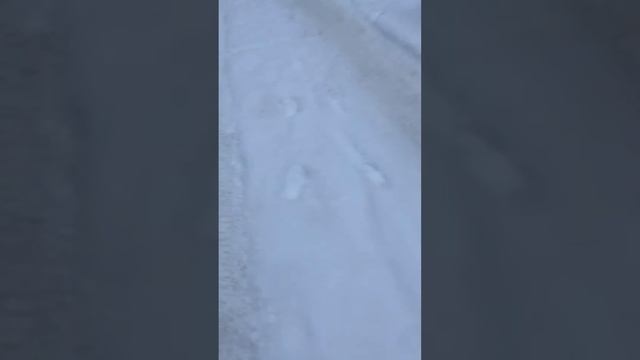 Нефтеюганска игра смотреть онлайн