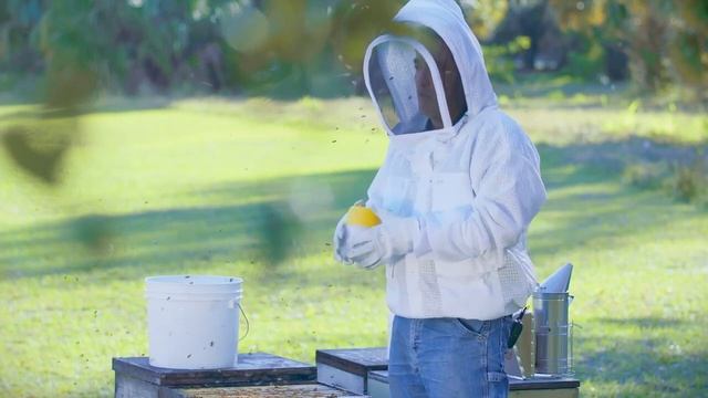 How to Check for Varroa Mites смотреть онлайн