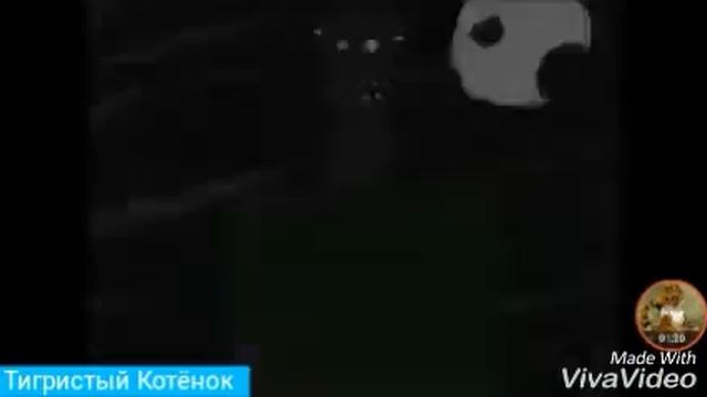 Коты-Воители Кровацапка и Бич смотреть онлайн