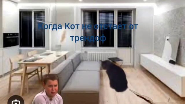когда кот не отстаёт от трендов смотреть онлайн