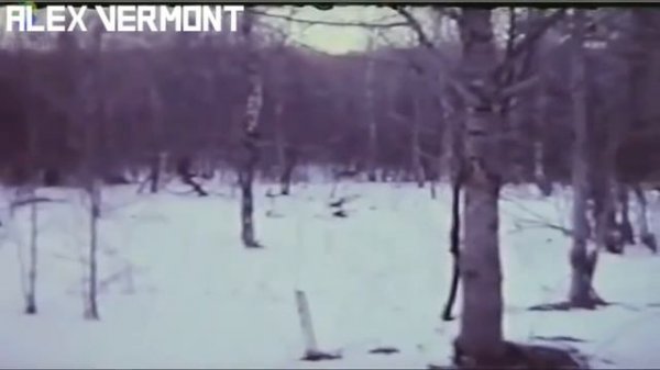 МИЧИГАНСКИЙ ОБОРОТЕНЬ