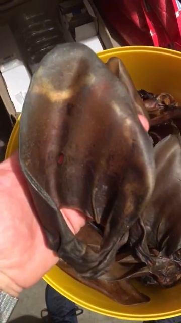 15 марта 2020 г. смотреть онлайн