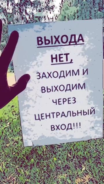 Как свалить из МФЦ? #short #shorts #shortvideo #мфц #ytubeshorts #reels