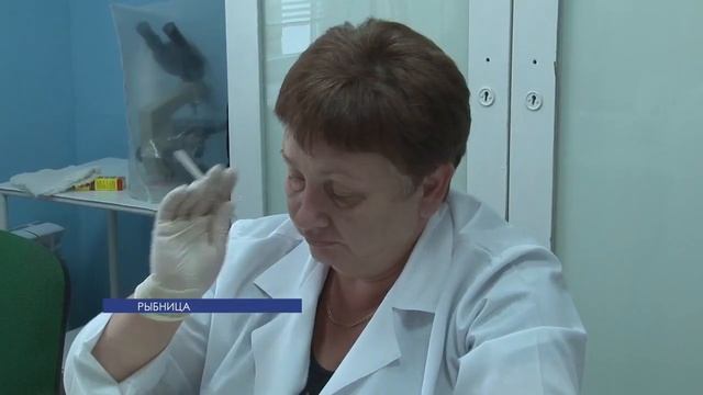 Программа "Вовремя" - 27/08/15 смотреть онлайн