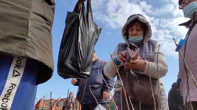 Мир, труд, май и сельскохозяйственная ярмарка в Ивангороде смотреть онлайн