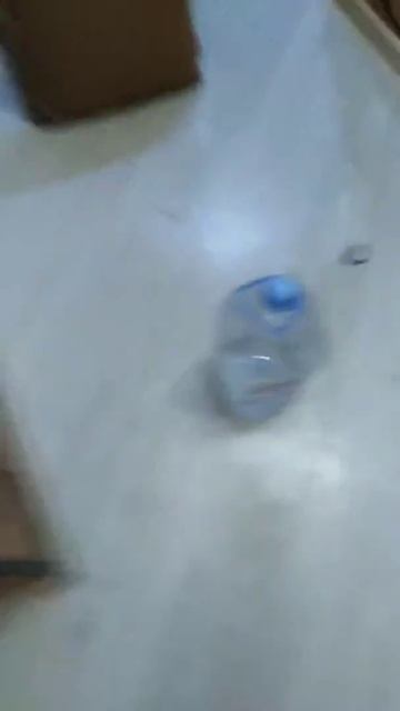 То чувство когда ты лошадь 🤣🤣🤣😁😁 смотреть онлайн