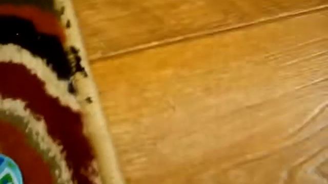 БИТВА ВОЛЧКОВ НОВЫЕ ВОЛЧКИ смотреть онлайн