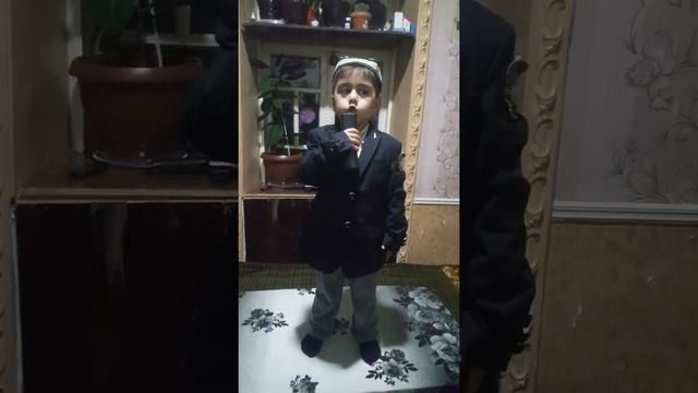 Koko смотреть онлайн