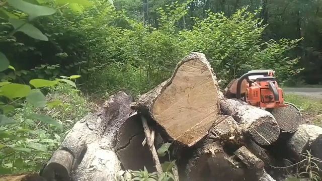 Echo CS660-EVL test cuts смотреть онлайн