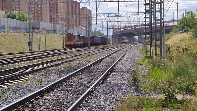 Тепловоз ЧМЭ3 - 6240 следует в сторону Железнодорожного смотреть онлайн