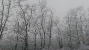 Зимняя Природа , природа, пейзажи Снег пушистый серебристый засыпает всё вокруг.