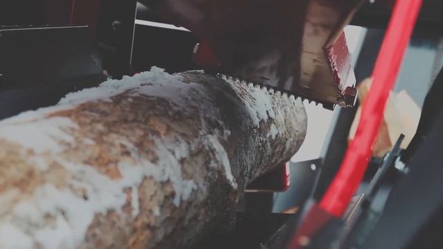 Palax C900 - Oakleaf Forestry