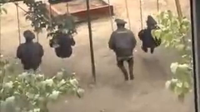 Менты =D смотреть онлайн