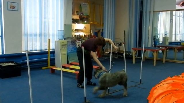 Яшка занимается. смотреть онлайн