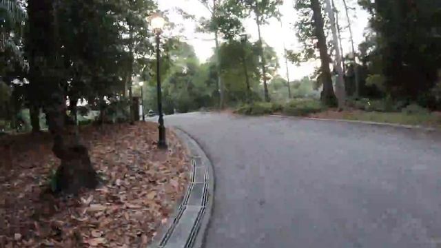 GoPro 7 | Botanic Garden | Evening Run | Time Warps x15 | Singapore смотреть онлайн
