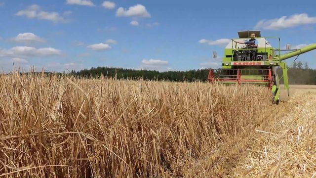 Claas Dominator 38 wie in alten Zeiten смотреть онлайн