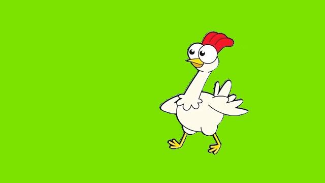 Chicken Run Greenscreen - Ayam Lari Greenscreen | Animal Greenscreen