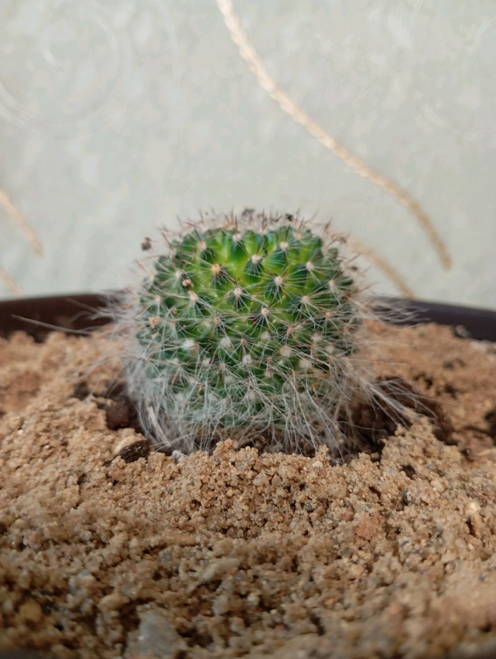 "Легенда RUTUBE" смотреть онлайн