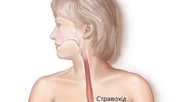 Я досліджую світ - Тема уроку: Організм людини - складна система смотреть онлайн
