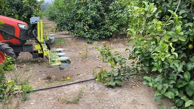 Tailleuse de Citronniers COLLARD / Lemon Tree Trimmer COLLARD смотреть онлайн