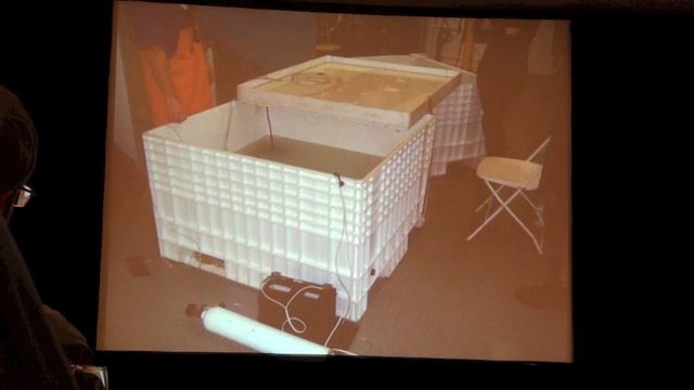 Ovariectomy of sub-adult southern rays, Dasyatis americana, to prevent future reproductive problems