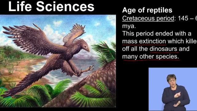 Life Sciences Grd 10 Cambrian Explosion S4 смотреть онлайн