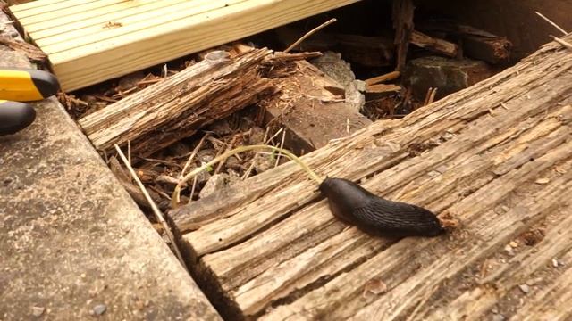 How To Remove A Old Decking Board Using Power Drill