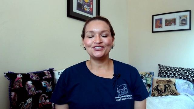 Review of Purina Dentalife cat treats смотреть онлайн