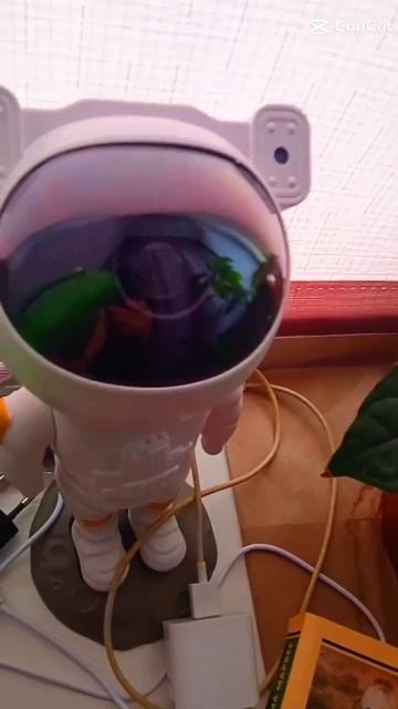 Сто лет одиночества ❤ #книги #booktube #books #классика #книжныйблог #маркес смотреть онлайн