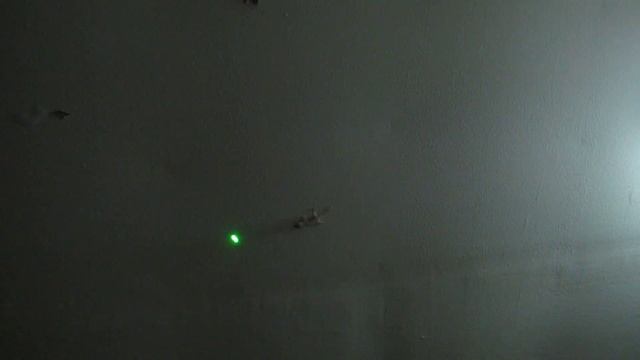 Gekkon playing with laser смотреть онлайн