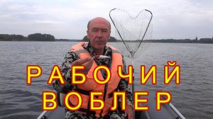 РАБОЧИЙ ВОБЛЕР всегда выручает на рыбалке \ Озеро Вселуг \ Рыбалка на Верхней Волге троллингом