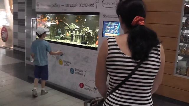 БОЛЬШАЯ желтая МАШИНКА АКВАРИУМ смотреть онлайн