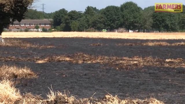 Farmer Shares Lessons From Devastating Crop Fire