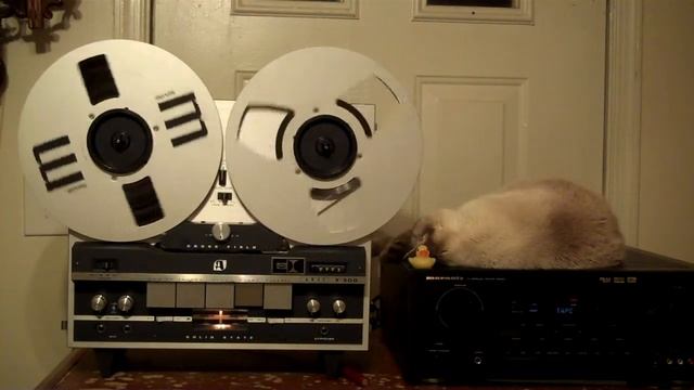 Black Sabbath - The Wizard. Played on a 1966 AKAI X-300. ZCUCKOO смотреть онлайн