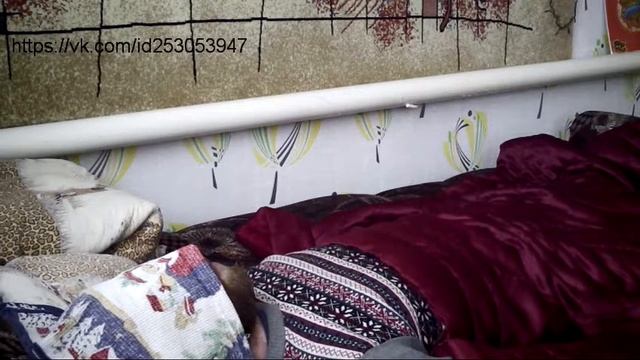 Регрессия в прошлые жизни с Александром, Липецк, часть 2