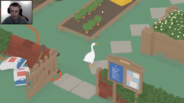 1 стрим. Сегодня у нас гусь. И я не фонюсь. Пау. // inst @lilinet_ смотреть онлайн