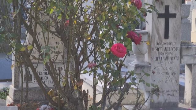 NAŠAO GROBOVE POZNATIH LIČNOSTI?? (3. DEO) смотреть онлайн
