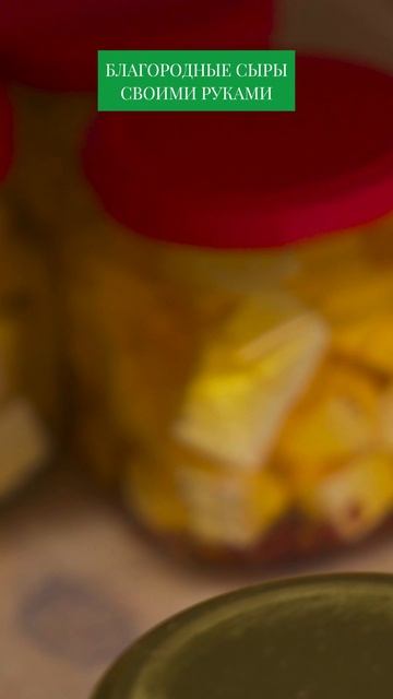 5 ЛУЧШИХ ВИДОВ ЭЛИТНОГО СЫРА #сыр #сыроварение смотреть онлайн