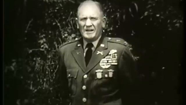 Tigers On The Loose Part 1 - The Big Picture смотреть онлайн