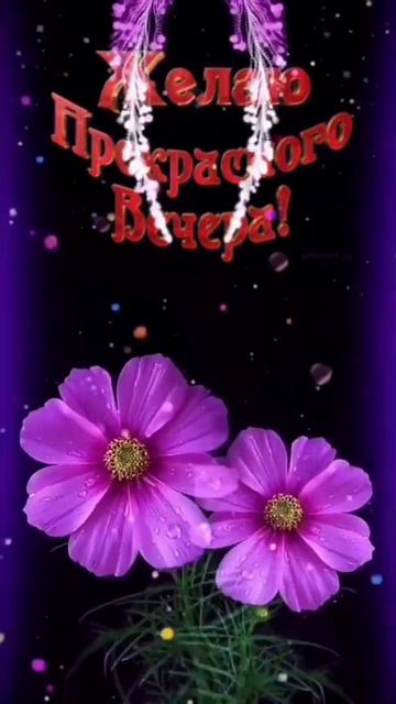 Вечерний, сердечный приветик 🌛