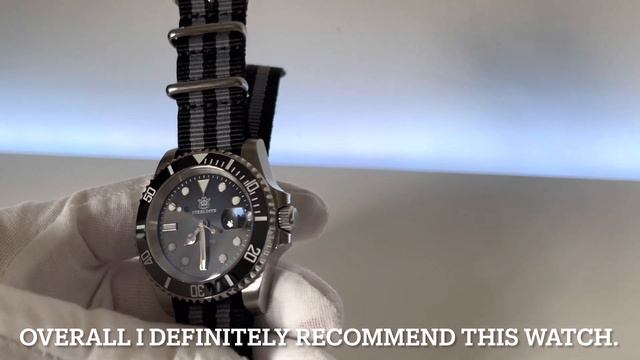 SteelDive SD1953 Long Term Review