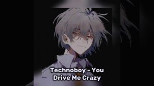 Technoboy - You Drive Me Crazy