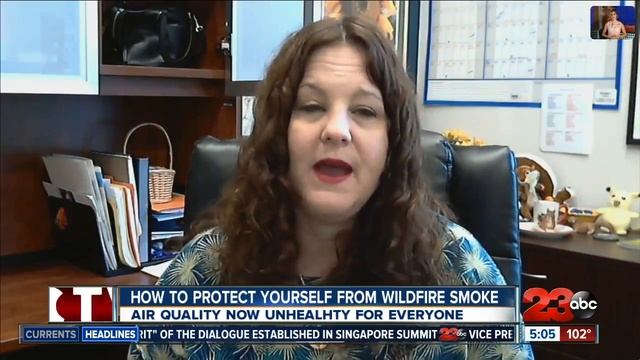 How to protect yourself from harmful wildfire smoke смотреть онлайн