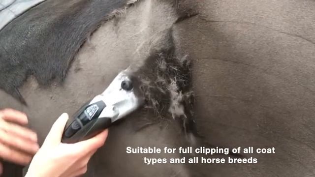 The Premium Masterclip V-Series Variable Speed Horse Clipper used with a Fine Clipper Blade смотреть онлайн