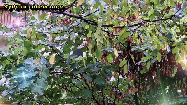 Эти знаки зодиака получат крупную сумму в сентябре! Проверьте, не вы ли это? смотреть онлайн