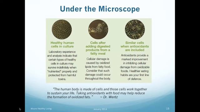 Why Supplement смотреть онлайн